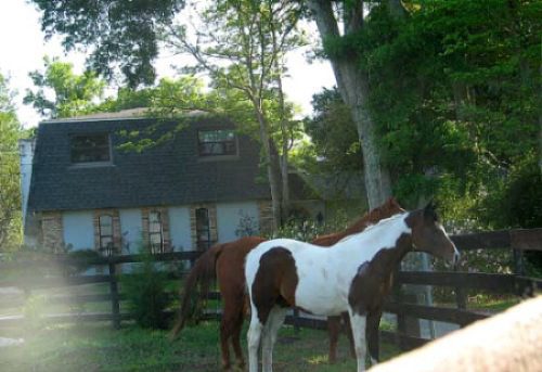 City Slickers Ranch