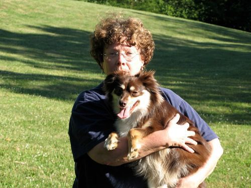 A brown and white dog being held by a woman with curly brown hair