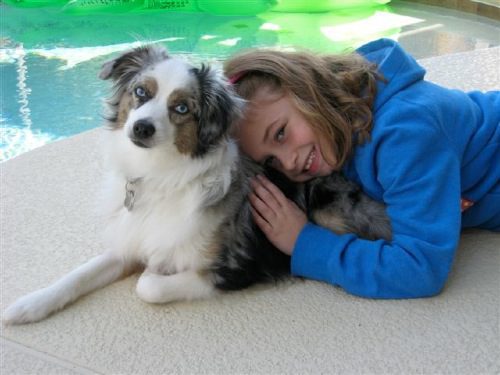 A white and black dog laying down with a girl in a blue hoodie