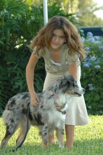 A girl petting a black, white, and gray dog